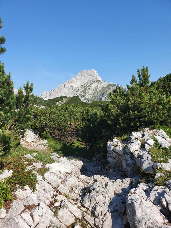 Holiday Home Prdelanca Luče Εξωτερικό φωτογραφία